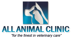 Contact All Animal Clinic Key West | All Animal Clinic