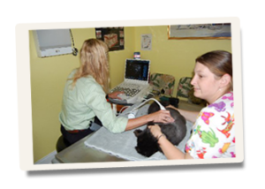 All Animal Clinic Services Ultrasound