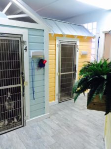 Abigail & Stitch Pet Resort, dog boarding and day care in Key West