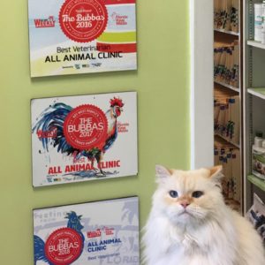 Meet our Mascot The Donald Best Veterinarian in the Florida Keys