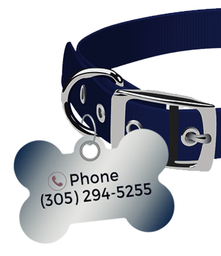 dog-collar-tag_silver